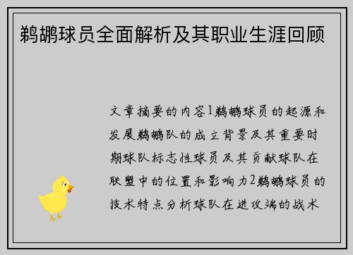 鹈鹕球员全面解析及其职业生涯回顾